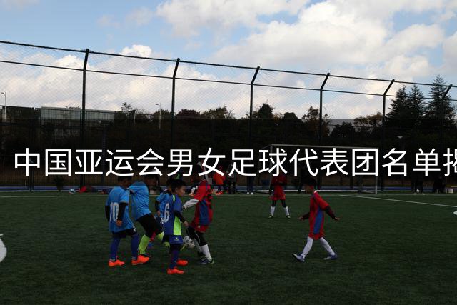 中国亚运会男女足球代表团名单揭晓，领队人选确定